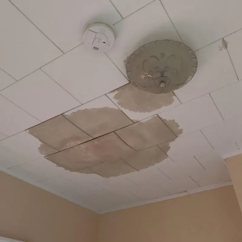 Ceiling Water Damage Repair in Pickens, MS